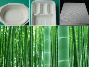 国家发改委支持加快“以竹代塑”发展插图1