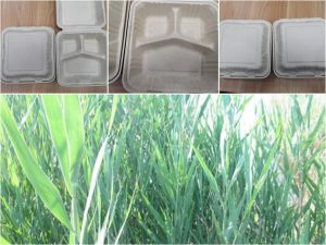 不同的纸浆模塑生产原料，到底有什么区别呢？插图3