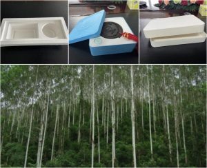 不同的纸浆模塑生产原料，到底有什么区别呢？插图5