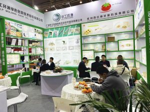 IPFM2023上海国际植物纤维模塑产业展，期待您的莅临！插图1