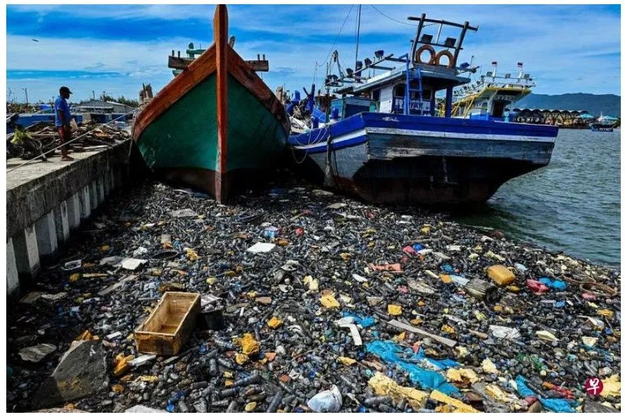 2029年，印尼全面禁用一次性塑料产品！缩略图