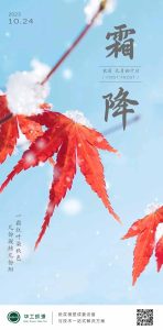 华工环源 | 一霜红叶染秋色，一朝秋暮露成霜插图