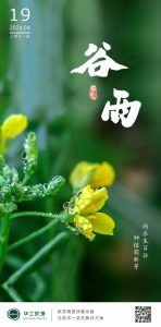 华工环源 |  雨水生百谷，种植萌新芽插图