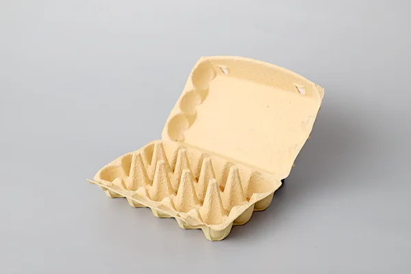 Egg-Cartons-05.webp