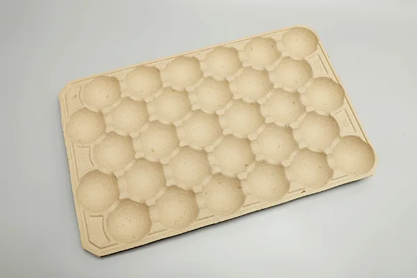 Fruit-Tray-01.webp