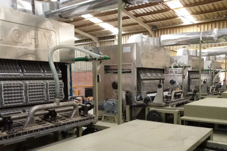Rotary-Unique-Features-of-Double-Rotary-Egg-Tray-Machine.webp
