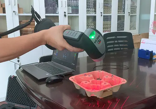 2.Mold-scanning.webp