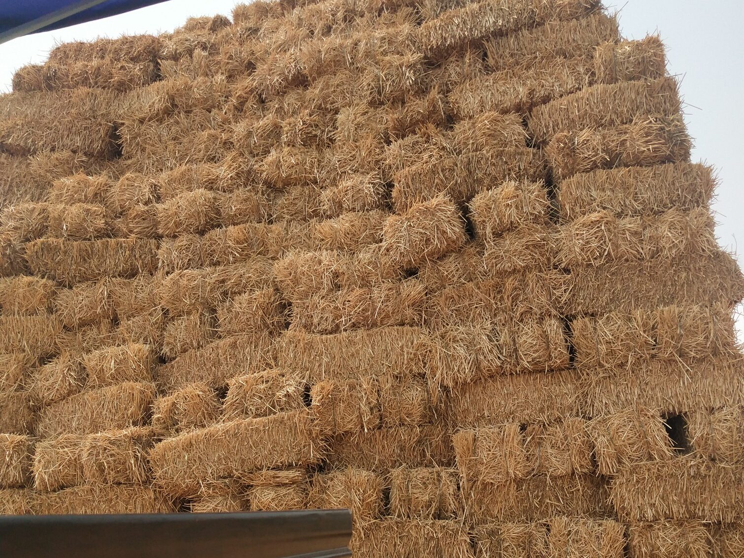 常见的纸浆模塑原料特点分析插图2