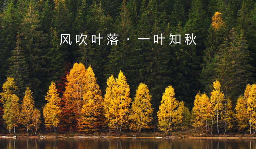 华工环源 | 秋声初起,绿引丰途缩略图 华工环源 | 秋声初起,绿引丰途缩略图