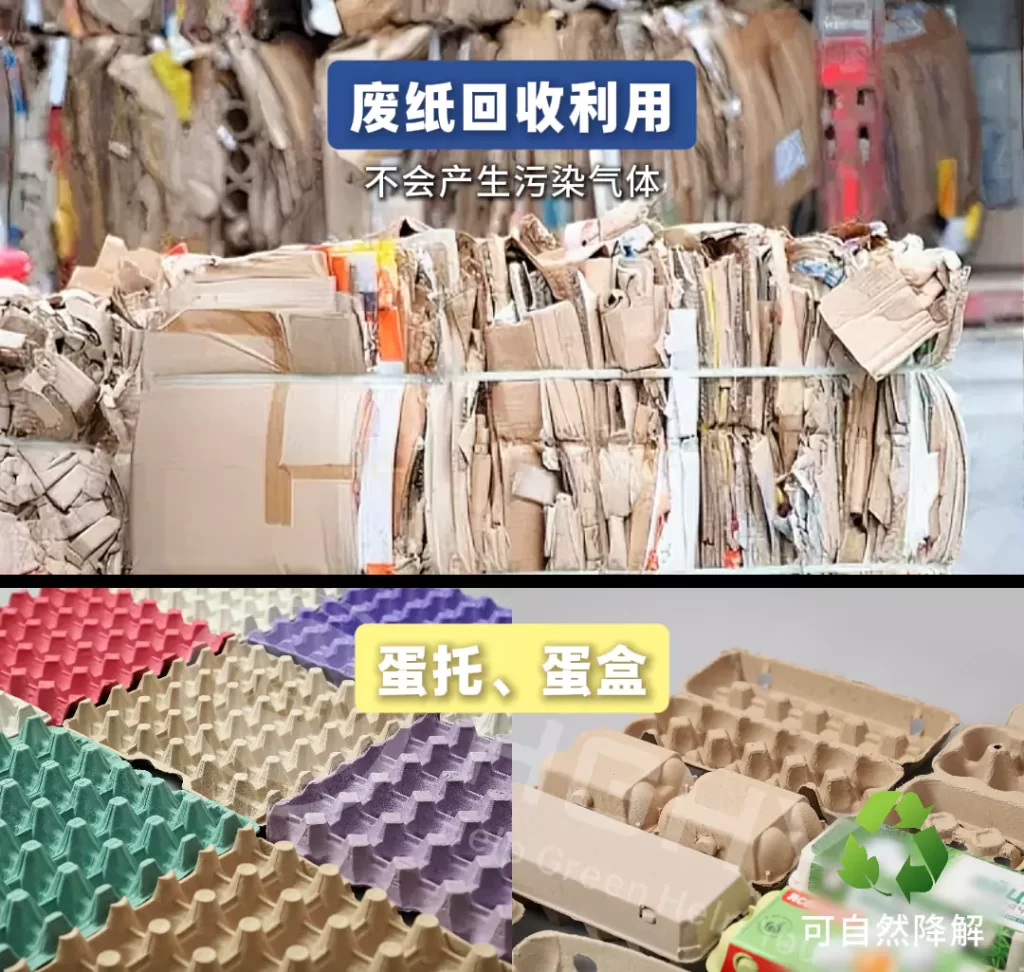 2025 年纸浆模塑迎爆发期！政策 + 市场双轮驱动，绿色包装成产业新引擎插图4