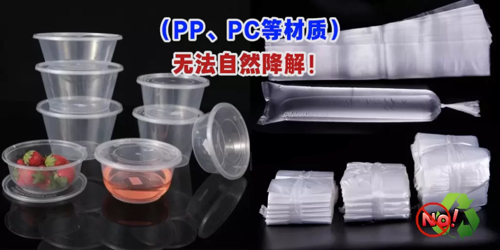 欧盟 PPWR 新规落地！纸浆模塑成中国企业出海合规 “最优解”插图