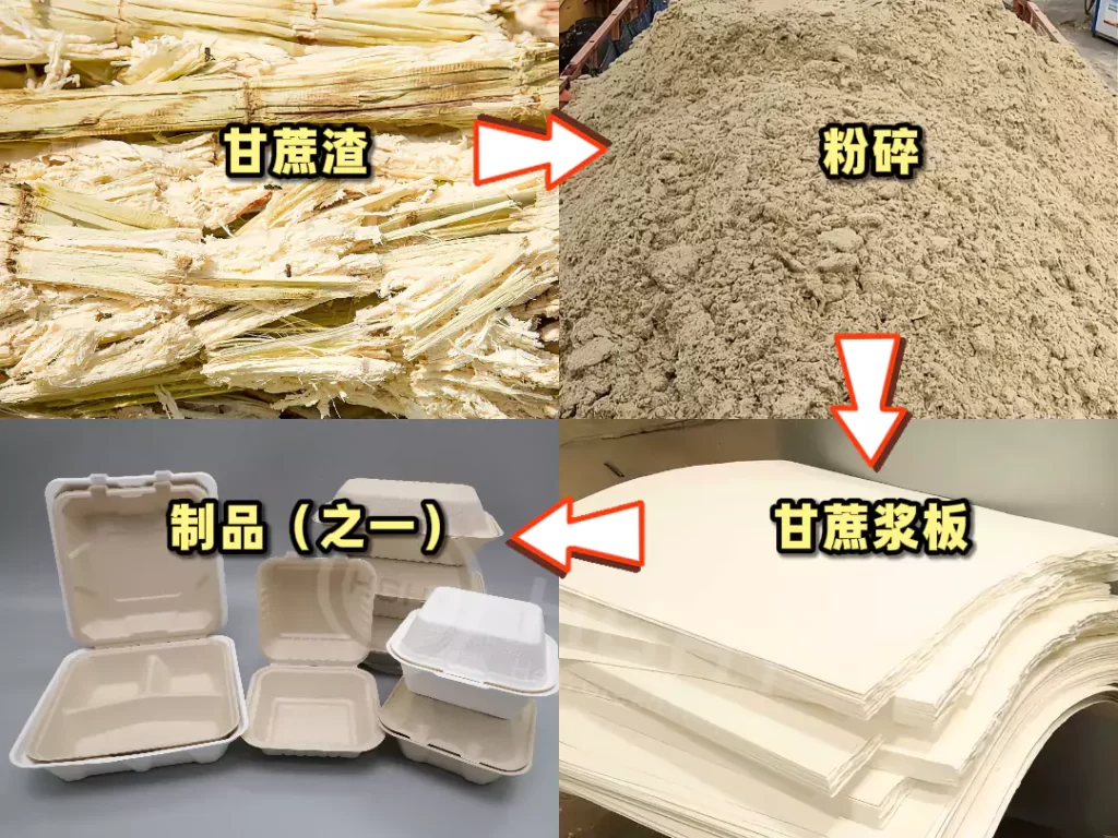 欧盟 PPWR 新规落地！纸浆模塑成中国企业出海合规 “最优解”插图1