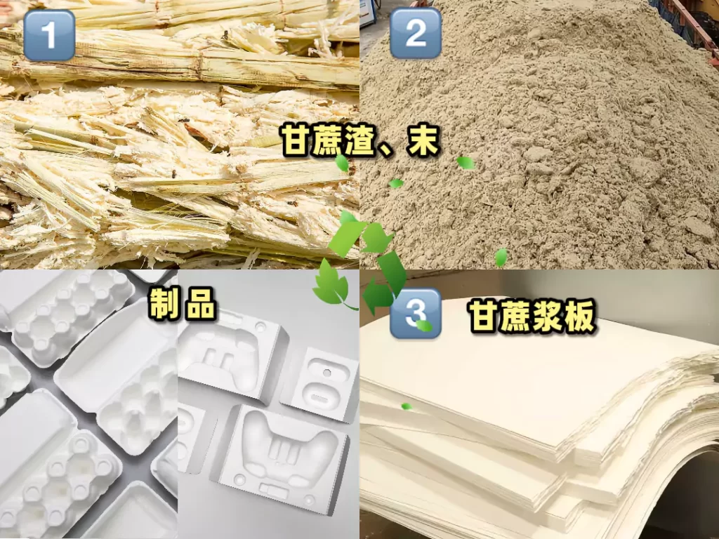 全球机遇凸显?纸浆模塑海外市场的增长密码插图 全球机遇凸显?纸浆模塑海外市场的增长密码插图