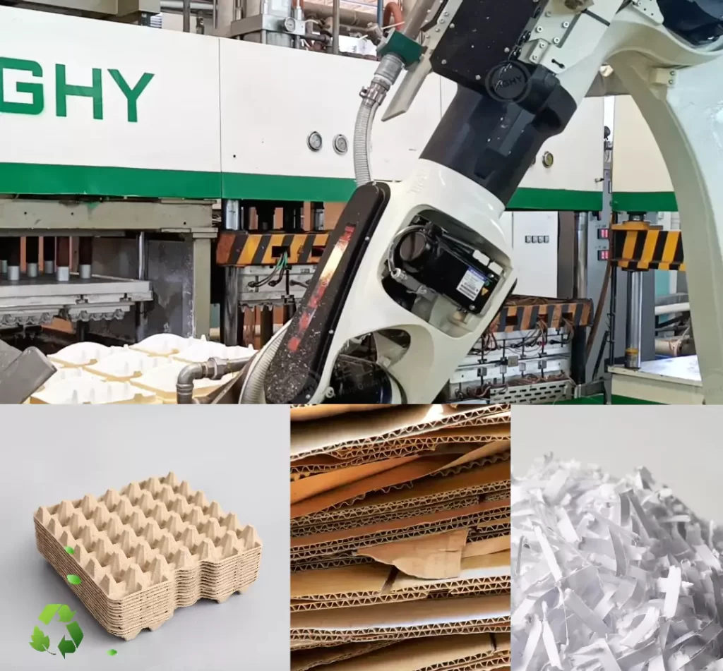 全球机遇凸显?纸浆模塑海外市场的增长密码插图2 全球机遇凸显?纸浆模塑海外市场的增长密码插图2