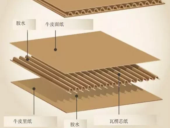 3分钟读懂纸浆模塑!与瓦楞纸箱的优劣对决插图3 3分钟读懂纸浆模塑!与瓦楞纸箱的优劣对决插图3