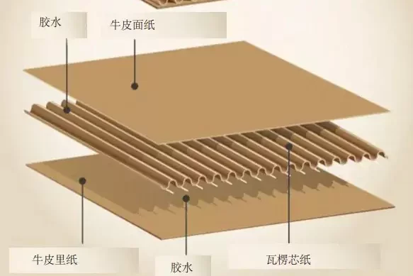 纸浆模塑:重新定义好包装的底层逻辑,让品牌赢在3秒决策期插图4 纸浆模塑:重新定义好包装的底层逻辑,让品牌赢在3秒决策期插图4