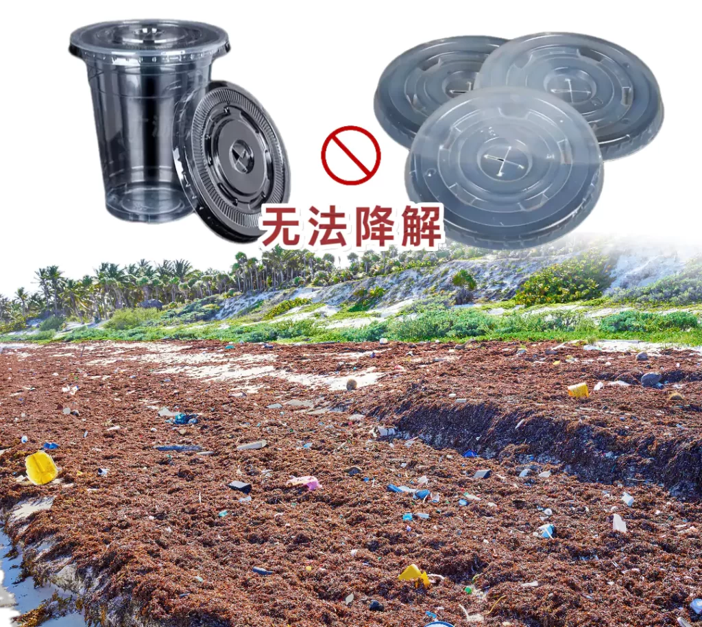 杯盖选对不踩坑!纸浆模塑VS塑料,环保与实用双赢才是王道插图 杯盖选对不踩坑!纸浆模塑VS塑料,环保与实用双赢才是王道插图