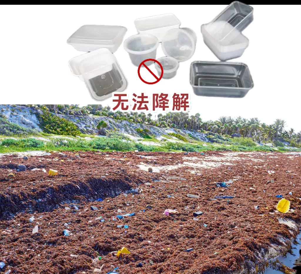 餐饮餐具怎么选?纸浆模塑VS塑料餐具,颜值环保实用全对比插图1 餐饮餐具怎么选?纸浆模塑VS塑料餐具,颜值环保实用全对比插图1