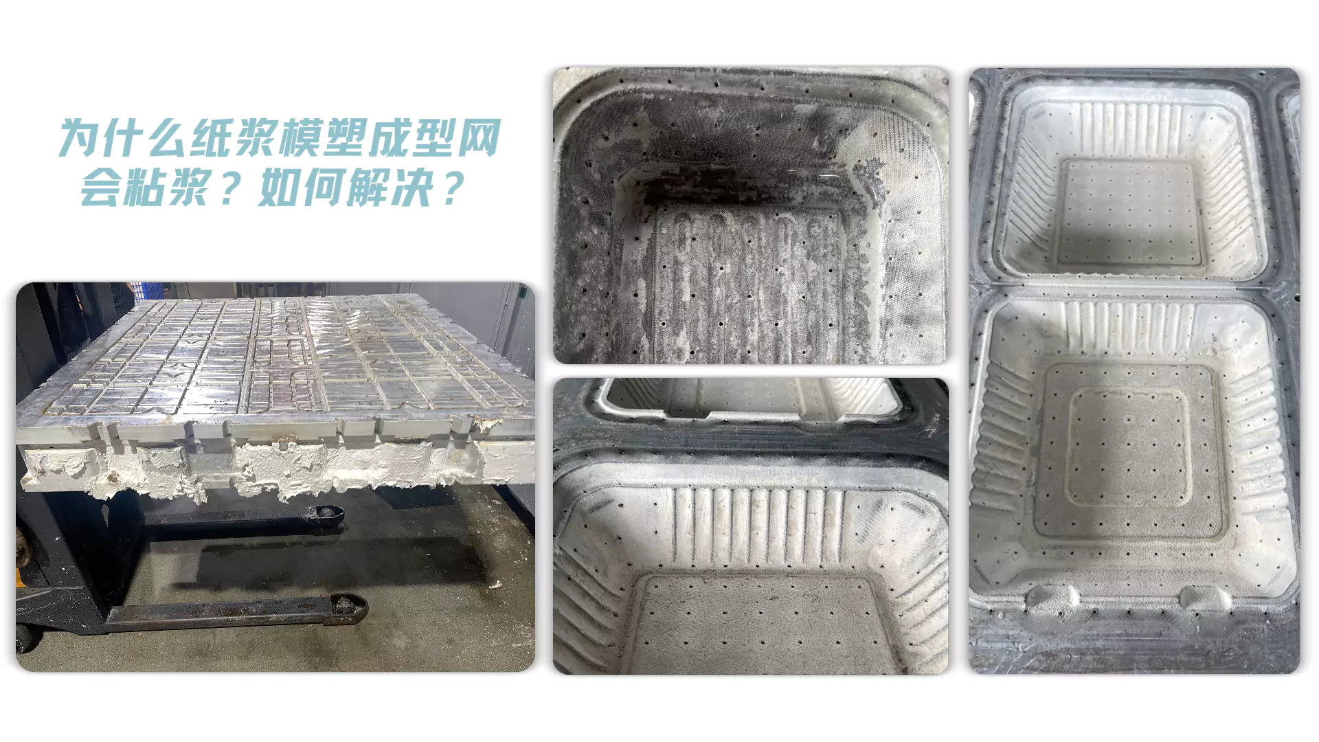 纸浆模塑行业新闻与资讯插图3 纸浆模塑行业新闻与资讯插图3